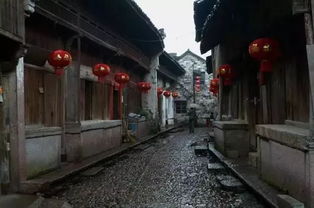 第一站：晨雾中的运河畔