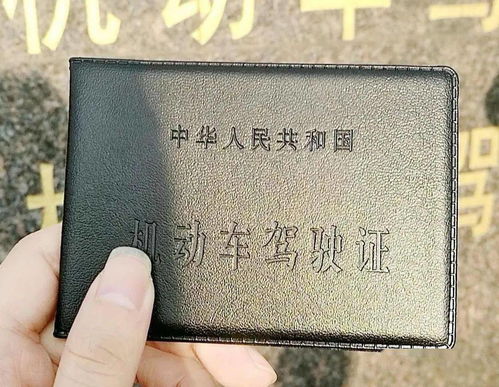 啊啊啊！2026年领证吉日大乱炖