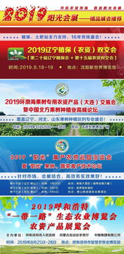 协同发展的机遇与挑战