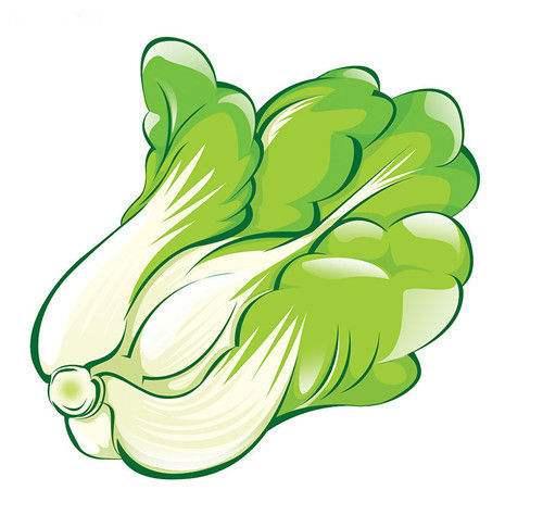 3. 啊啊啊！终于到了正题——10种起名思路较大全