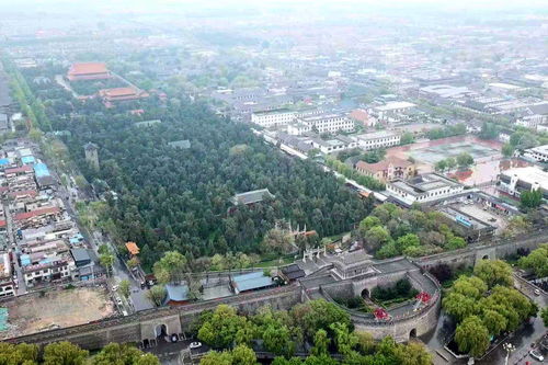 第二天：孔子故里的现代魔幻剧