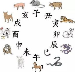 五十八岁的人属什么生肖，这个生肖代表什么含义？