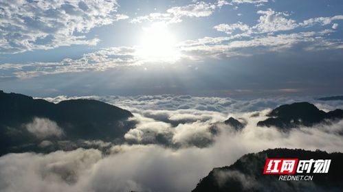 一、 晨曦中的雷达山，美景如画（或着说像是滤镜翻车）