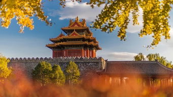4.2 游客互动：自拍与讲解员争夺战