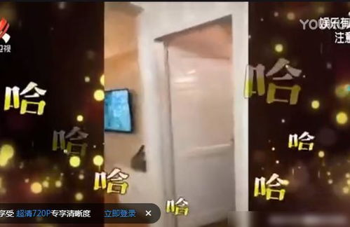 救命啊！对象要跑路？十二生肖+星座+风水三合一抢救指南（2026年黄历特别版）