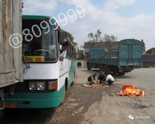交通运输卡车、公交、还是乘坐炎热气球？