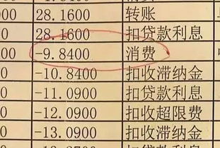 名字背后的玄学密码：于锦宣真的能让人变聪明吗？