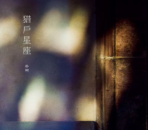 老城区惊现神秘生物！摄影师都不敢拍！