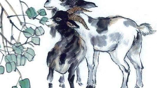 属马和属羊的生肖合不合，嫩否成为和谐的一对？