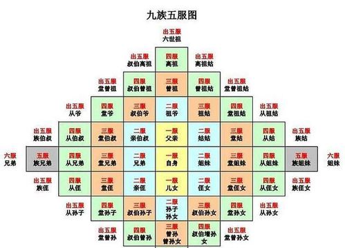 金口诀排盘：一个让你笑到肚子疼的玄学玩意儿