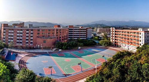 惠东有什么风水学校,惠东有什么风水学校吗