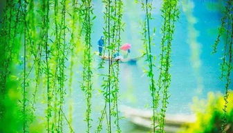 拍摄技巧（随便写写）