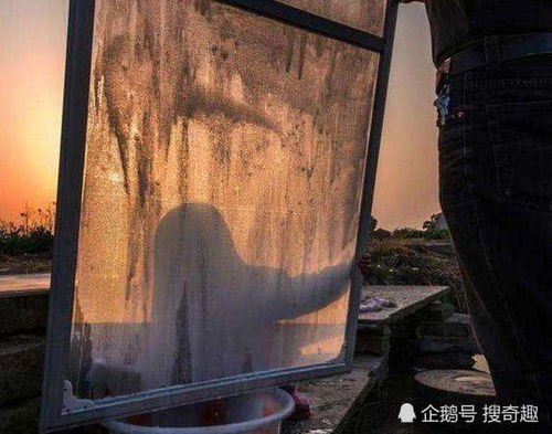 她那轻巧松气质，竟让古宅成了活死人墓。