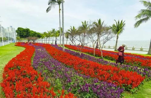 昌平花海赏花最佳时间段是哪些时候？