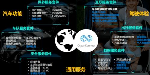 案例一：某IT公司