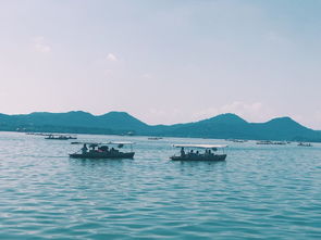 3. 杭州西湖——诗意与蚊子的混搭