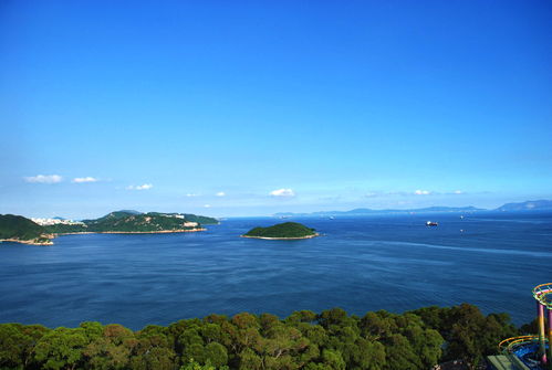 浅水镇八字算命准确吗？浅水湾风景区在哪里？