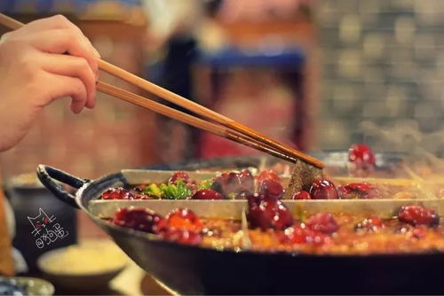 《舌尖》推荐？呵呵哒！