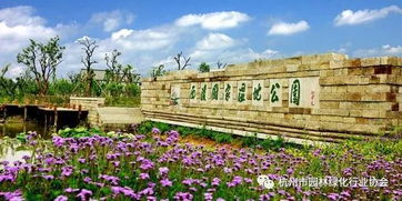 震惊！杭州西溪湿地门票惊天大秘密，99%游客都被当韭菜割
