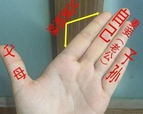 手相拇指过长男性容易成功吗？