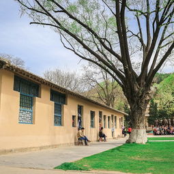 住宿体验：比睡桥洞还刺激！