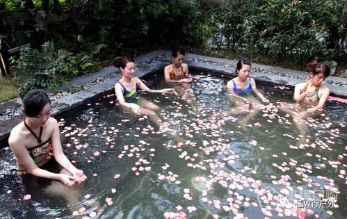 第一站：恐龙谷温泉与桃花泉的那些事儿