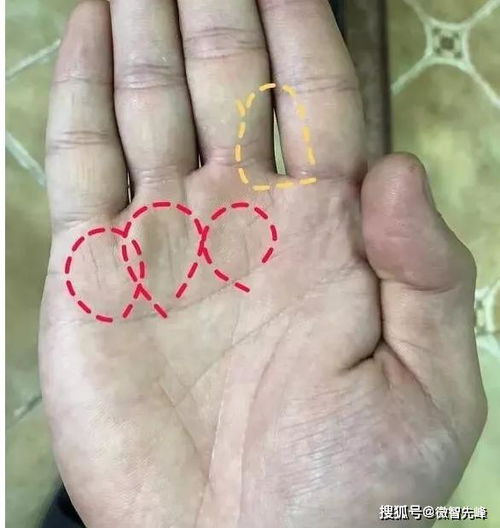 五指流纹的人：面子工程的头号选手
