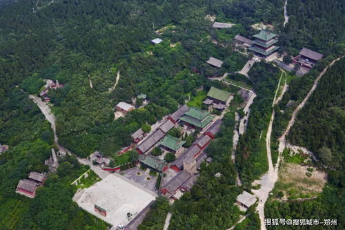 小插曲：我在雨后的石阶上遇见了一只猫头鹰