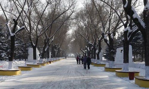 惯与拍照的小技巧