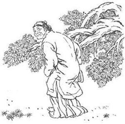 “以毒攻毒， 以火攻火”的神秘公式