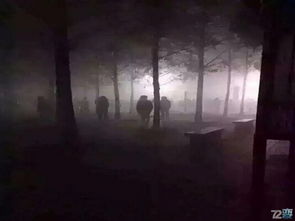 第一章：古玩市场的偶然与流年不利
