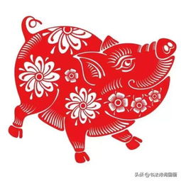 属猴的2025：窜天猴要上天！