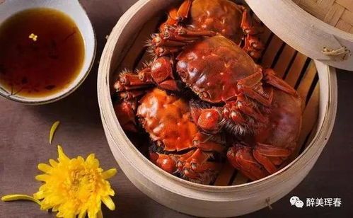 秋天（9-11月） - 较大闸蟹与文艺范儿