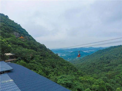 饱览风景后再来一次“沉重温”体验吧：