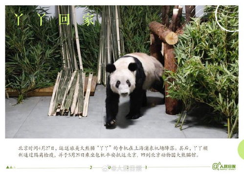 为什么说北京动物园是城市里的天然氧吧？