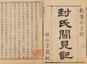 历史持续发展记载的缺失