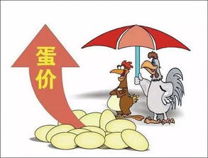 2026年属龙的人哪个月份运势最为旺盛？