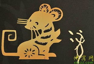 前言：鼠年较长爷的焦虑与期待