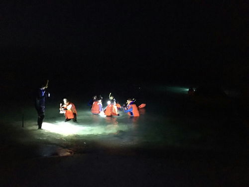 暑期亲子游——与孩子一起旅行,带孩 看世界,分享奇妙物语 2018-05-29 15:48