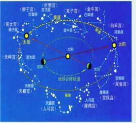 星座配对探究：宇宙共鸣？