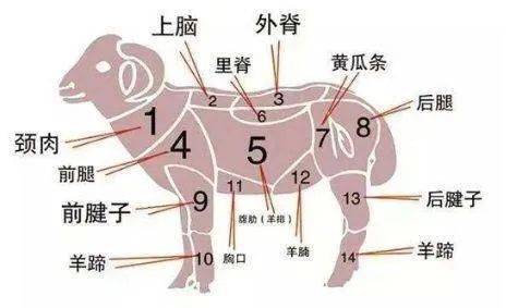 五行缺火的危害你懂吗？