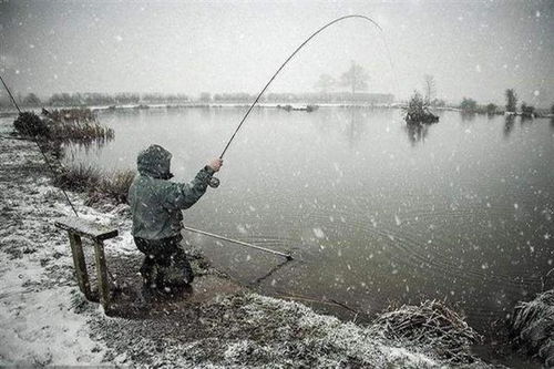一、  天象与玄学的纠葛：李世捷的启示