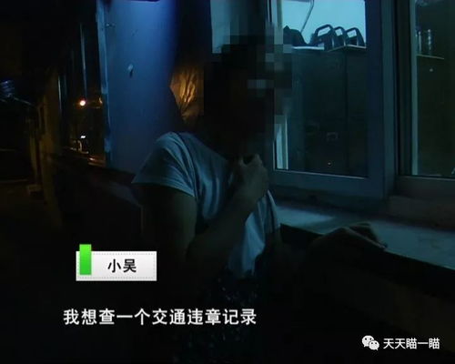 牛背上的沉重阴影
