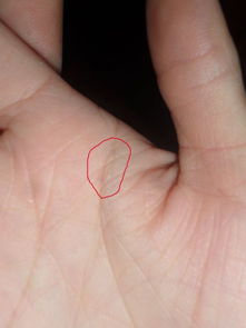 如何通过手相预测横祸发生的时间？手纹能揭示哪些疾病征兆？