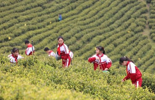 健康生活，从田园开始？肚子先抗议了