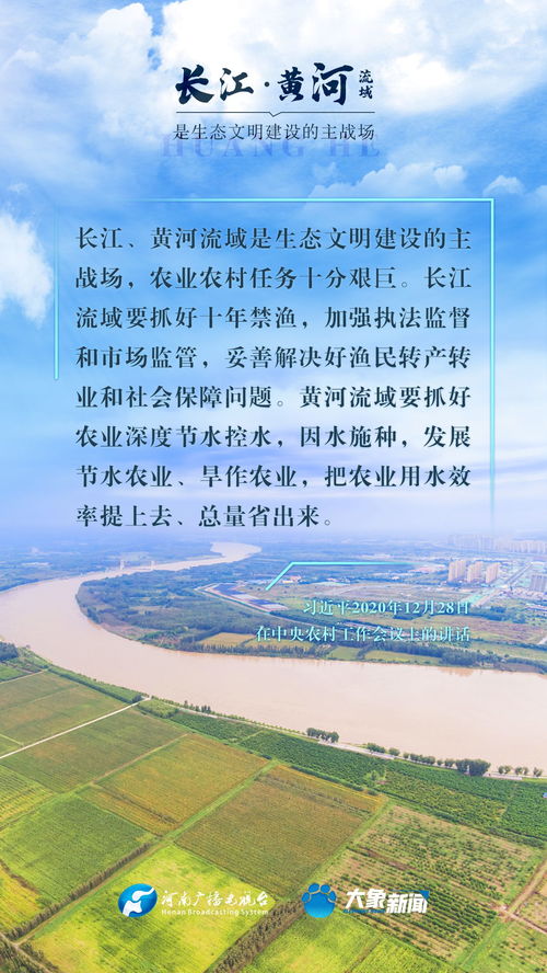 为什么在城市里能看到这么多的水獭？