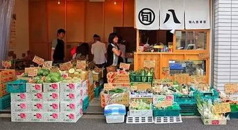 游客的奇幻漂流
