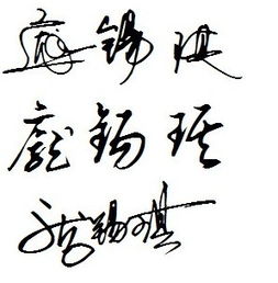 从“姓氏”启动乱套！