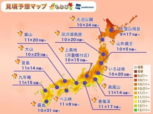 霓虹国的叛逆地图：2026年这些歪门邪道才够味
