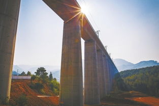 环岛路：单车上的疯狂冒险